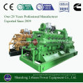 400/500/600kw Biomass Generator with Silent Generator with Low Price